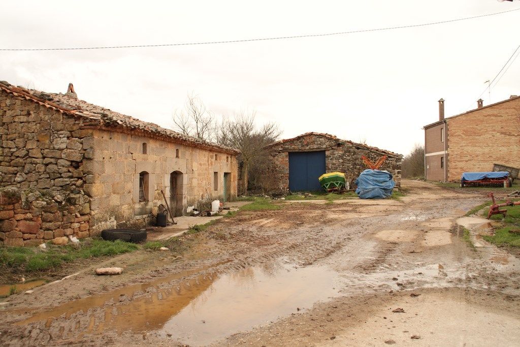 Fotografía de la galería de imágenes con id: 884
