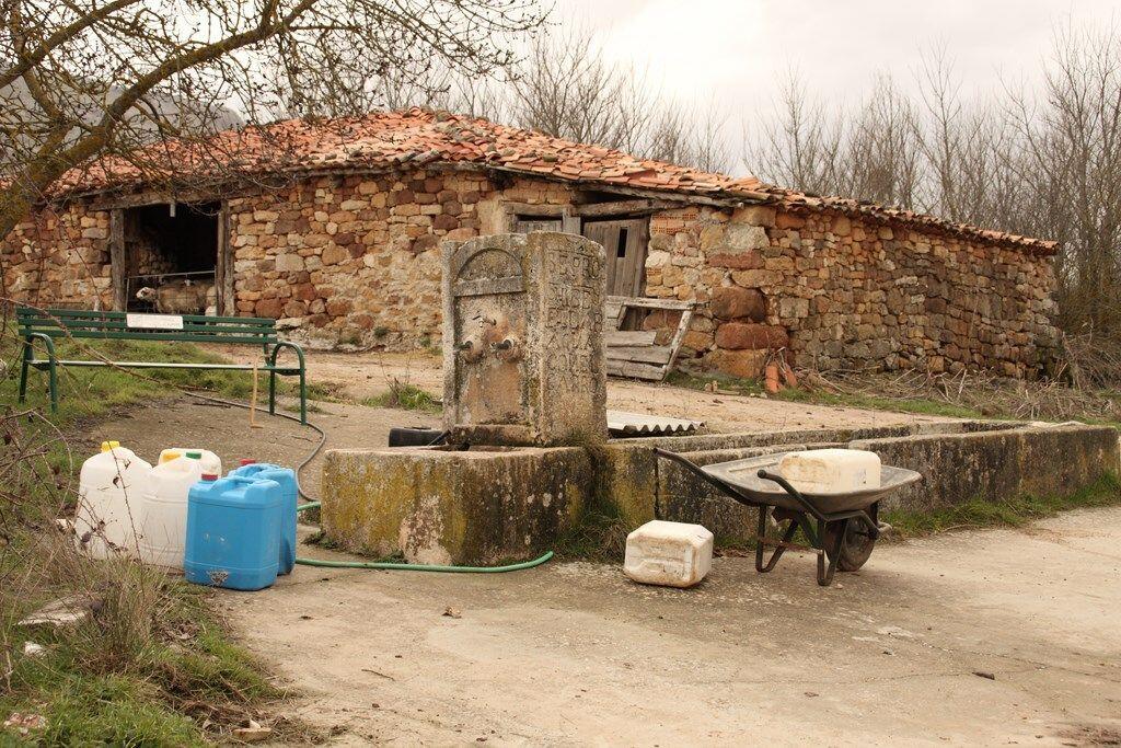 Fotografía de la galería de imágenes con id: 883