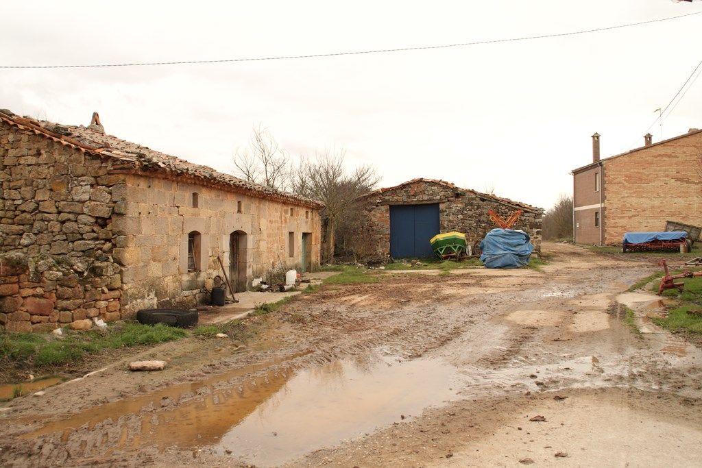 Fotografía de la galería de imágenes con id: 884